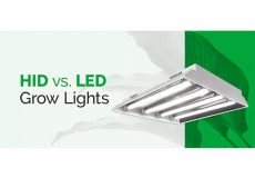 led growing lights 71 main 600